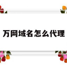 万网域名怎么代理(万网域名怎么设置密码)