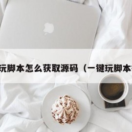 一键玩脚本怎么获取源码（一键玩脚本提取）