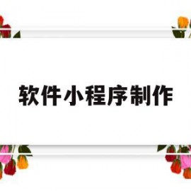 软件小程序制作(软件小程序制作平台)