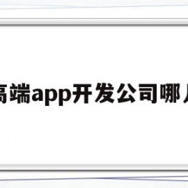 高端app开发公司哪儿(有实力的app开发公司)