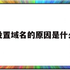 设置域名的原因是什么(设置域名的原因是什么?)