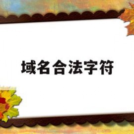 域名合法字符(合法域名的判断)