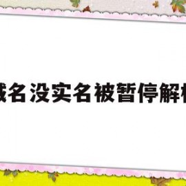 域名没实名被暂停解析(域名未实名认证是否无法解析)