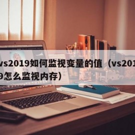 vs2019如何监视变量的值（vs2019怎么监视内存）