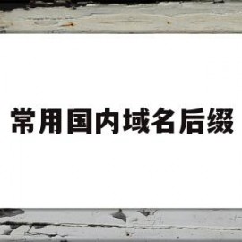 常用国内域名后缀(各域名后缀含义)