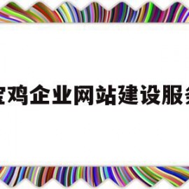 宝鸡企业网站建设服务(宝鸡企业网站建设服务中心电话)