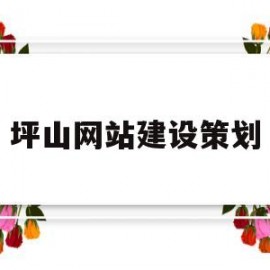 坪山网站建设策划(深圳坪山官网)