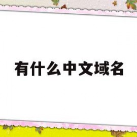 有什么中文域名(有哪些中文域名)