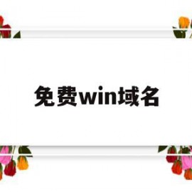 免费win域名(免费域名 哪个好)