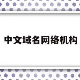 中文域名网络机构(中文域名注册管理机构)