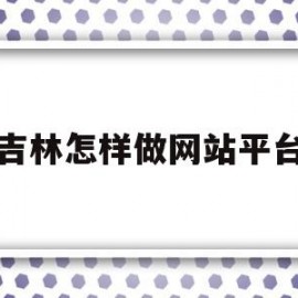 吉林怎样做网站平台(做网站平台的公司有哪些)