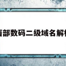 西部数码二级域名解析(西部数码注册域名怎么样)