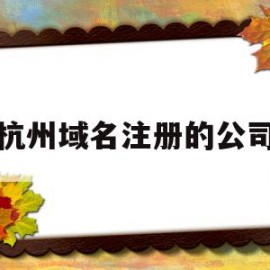 杭州域名注册的公司(国内域名注册公司)