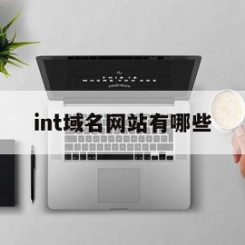 int域名网站有哪些(internet的域名一般包括)