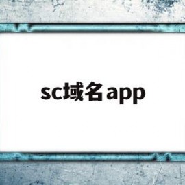 sc域名app(com与cn的域名有什么区别)