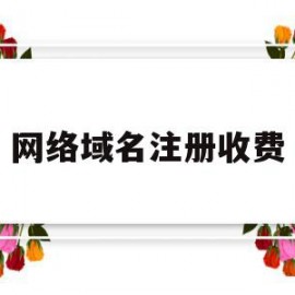 网络域名注册收费(网络域名注册收费多少)