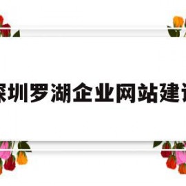 深圳罗湖企业网站建设(罗湖区企业服务中心办公场地)
