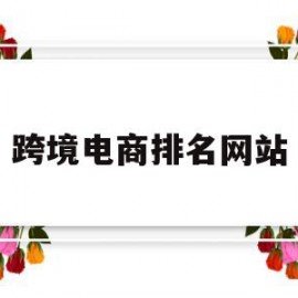 跨境电商排名网站(跨境电商top 100)
