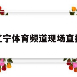 辽宁体育频道现场直播(辽宁体育频道现场直播男篮发送敷短信)