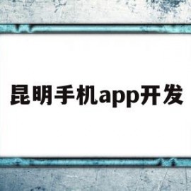 昆明手机app开发(昆明app软件专业开发公司)