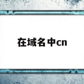 在域名中cn(在域名中com表示什么机构)