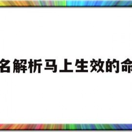 域名解析马上生效的命令(域名解析快速生效)