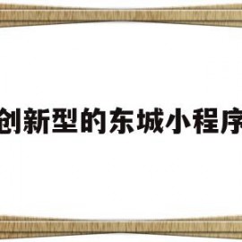 创新型的东城小程序(创新型的东城小程序怎么做)