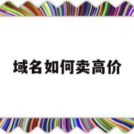 域名如何卖高价(域名怎么卖出去)