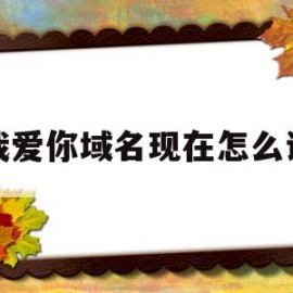 我爱你域名现在怎么说(我爱你域名注册)