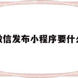 微信发布小程序要什么(微信小程序发布需要域名吗)