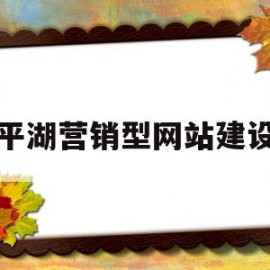 平湖营销型网站建设(湖南营销型网站建设案例)