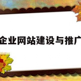 企业网站建设与推广(企业网站建设推广合同)