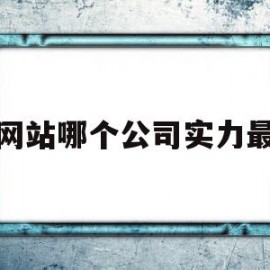 建网站哪个公司实力最强(建网站哪个公司实力最强呢)