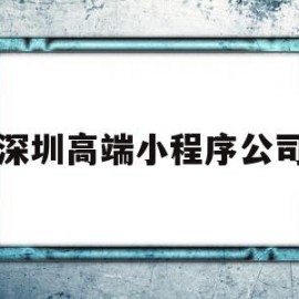 深圳高端小程序公司(深圳小程序最好是哪家公司)