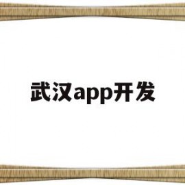 武汉app开发(武汉app开发公司前十名)