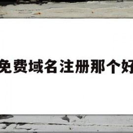 免费域名注册那个好(免费域名注册平台有哪些)