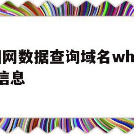 国网数据查询域名whois信息的简单介绍