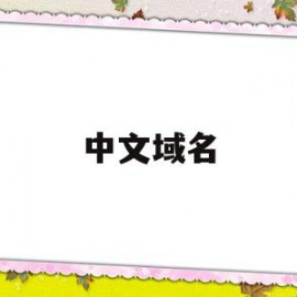 中文域名(中文域名注册)