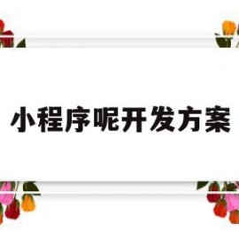 小程序呢开发方案(小程序开发方案怎么写)