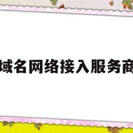 域名网络接入服务商(域名服务商是什么意思)