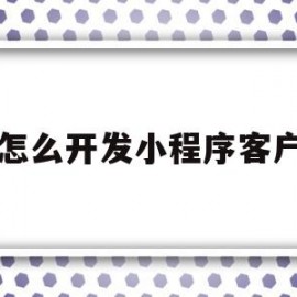 怎么开发小程序客户(怎么开发小程序微信小程序开发流程)
