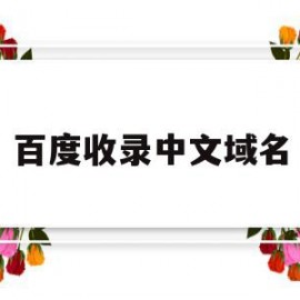 百度收录中文域名(百度收录中文域名怎么弄)