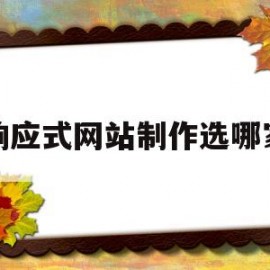 响应式网站制作选哪家(响应式网站制作选哪家公司好)