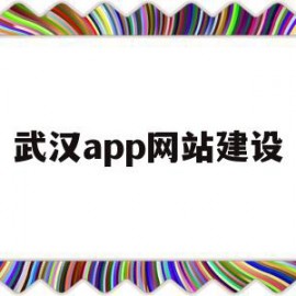 关于武汉app网站建设的信息