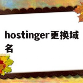 hostinger更换域名的简单介绍
