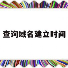 查询域名建立时间(在哪里查域名什么时候到期)