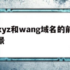 xyz和wang域名的前景(xyz域名和com的域名的区别)