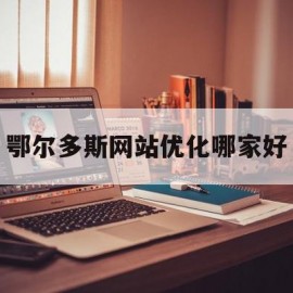 关于鄂尔多斯网站优化哪家好的信息