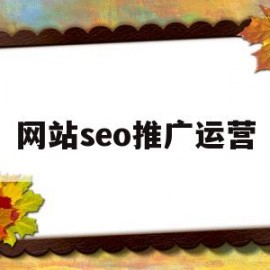 网站seo推广运营(seo公司网站推广)