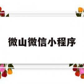 微山微信小程序(微山l1)